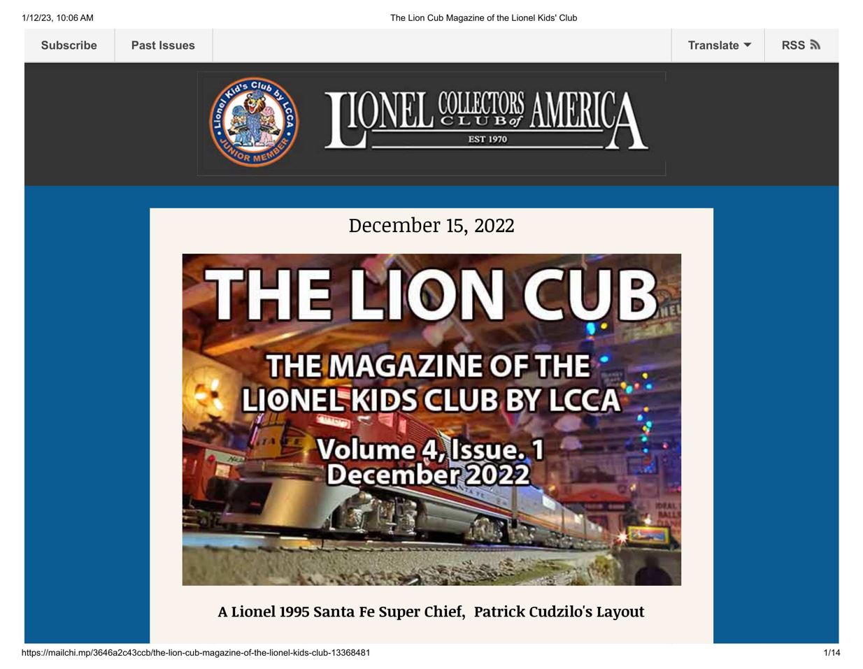 Lion Cub picture